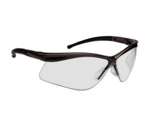 DSI Warrior Glasses BLK/InOut Lens
