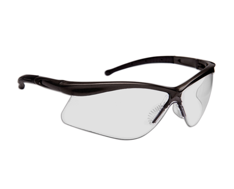 DSI Warrior Glasses BLK/InOut Lens