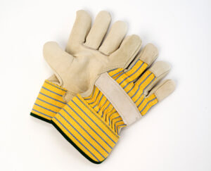 Beige Grain Leather Fitters Gloves, Unlined