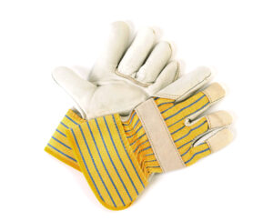 Ladies’ Grain Leather Fitters Gloves, Cowhide