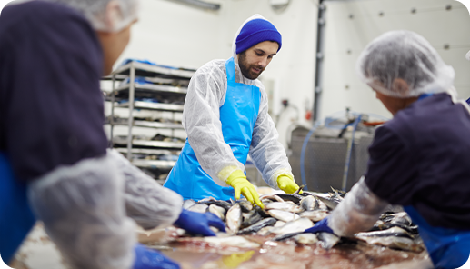 Food Processing PPE & Safety Supplies for Compliant Operations